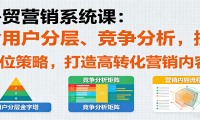 外贸营销系统课：含用户分层、竞争分析，授卖品、定位策略，打造高转化营销