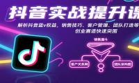 抖音实战提升课：解析抖音蓝v权益，销售技巧、客户管理、团队打造等创业赛