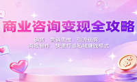 商业咨询变现全攻略：销售、营销思维，引流锁客，海报制作，快速打造私域赚