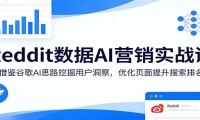 Reddit数据AI营销实战课：借鉴谷歌AI思路挖掘用户洞察，优化页面提升搜索排
