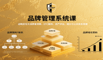 品牌管理系统课：战略定位与消费者洞察，DTC案例、资产评估，增长与公关体