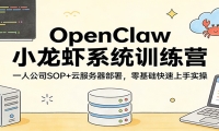 OpenClaw小龙虾系统训练营：一人公司SOP，云服务器部署，零基础快速上手实