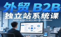 外贸B2B独立站系统课：底层逻辑/避坑指南/WP建站/AI辅助从0到1搭建高转化网