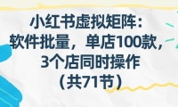 小红书虚拟矩阵：软件批量发笔记，单店100款，3个店同时操作（共71节）