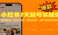 小红书7天起号实战课：爆款笔记，SEO引流，矩阵运营，避开违规快速涨粉