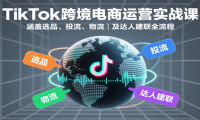 TikTok跨境电商运营实战课：涵盖选品、投流、物流及达人建联全流程