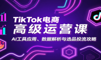 TikTok电商高级运营课：AI工具应用、数据解析与选品投流攻略