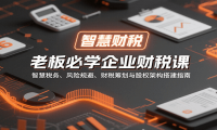 老板必学企业财税课：智慧税务、风险规避、财税筹划与股权架构搭建指南
