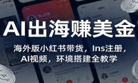 AI出海赚美金：海外版小红书带货，Ins注册，AI视频，环境搭建全教学