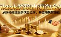 Tiktok跨境出海淘金课，从账号搭建到多项目运作，开启赚钱新路径