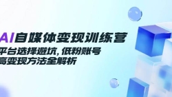 AI自媒体变现训练营，平台选择避坑，低粉账号高变现方法全解析