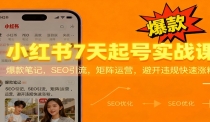 小红书7天起号实战课：爆款笔记，SEO引流，矩阵运营，避开违规快速涨粉