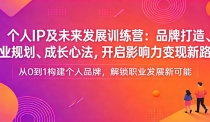 个人IP及未来发展训练营：品牌打造、职业规划、成长心法，开启影响力变现新