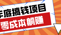亲测靠谱的轻量副业，年底搞钱小项目零成本零门槛，轻松躺赚几十上百元