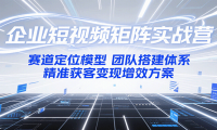 企业短视频矩阵实战营：赛道定位模型+团队搭建体系+精准获客变现增效方案