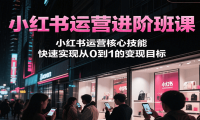 小红书运营进阶班课，小红书运营核心技能，快速实现从0到1的变现目标