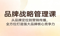 品牌战略管理课：从品牌定位到营销传播，全方位打造强大品牌核心竞争力