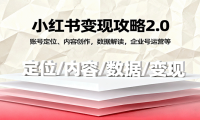 小红书变现攻略2.0：账号定位、内容创作，数据解读，企业号运营等