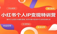 小红书个人IP变现特训营：解析平台规则与爆款逻辑，手把手教内容创作引流带