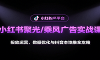 小红书聚光/乘风广告实战课：投放运营、数据优化与抖音本地推全攻略