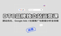 DTC品牌独立站运营课：建站优化、Google Ads + 社媒推广与数据分析全攻略