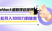 cashback返利项目培训：轻松月入3000刀的秘密（8节课）