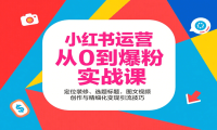 小红书运营从0到爆粉实战课：定位装修、选题标题，图文视频创作与精细化变