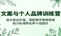 文案与个人品牌训练营，放大商业价值，搭配美学营销思维，助力私域转化率十