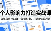 个人影响力打造实战课：公域获客+私域IP+知识付费，打通IP变现闭环