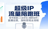 超级IP流量陪跑班：账号搭建+人设定位+爆款创作+直播运营，涨粉变现全流程