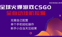 火爆游戏CSGO全自动捡漏，独家最新玩法，单个手机可操作，新手小白日入500+