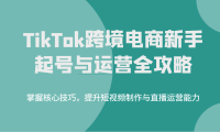 TikTok跨境电商新手起号与运营全攻略，掌握核心技巧，提升短视频制作与直播