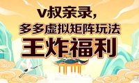 v叔亲录，多多虚拟矩阵玩法，王炸福利限时领取
