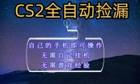 全自动捡漏，不用自己挂机不用玩游戏，自己的手机即可操作，新手小白轻松月