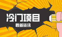 普通人容易忽略的冷门项目，仅靠一部手机，1小时复制粘贴零撸50+