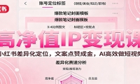 高净值IP变现课：小红书差异化定位，文案点赞成金， AI高效做短视频