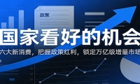 公众号付费文章：国家看好的机会，六大新消费，把握政策红利，锁定万亿级增