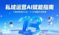 私域运营AI赋能指南，十倍效率成长心法，个人价值提升系统课
