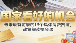 公众号付费文章：国家看好的机会，未来最有前景的13个具体消费赛道，政策解