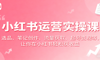 小红书运营实操课：选品、笔记创作、流量获取、起号变现等，让你在小红书轻