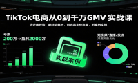 TikTok电商从0到千万GMV实战课，含逆袭经验、新趋势解析，讲选品定价流量等
