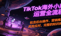 TikTok海外小店运营全流程，包含后台操作、营销推广、风险应对，完整的知识