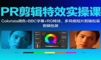 PR剪辑特效实操课：Colorista调色+BBC字幕+RG特效，多风格短片剪辑包装