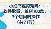 小红书虚拟矩阵：软件批量发笔记，单店100款，3个店同时操作（共71节）