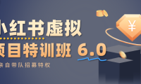 小红书虚拟项目特训班6.0 ，养号/选品/自动发货/爆款笔记（含40节视频课）