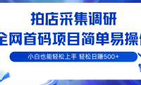 拍店采集调研，全网首码项目，简单易操作， 小白也能轻松上手，轻松日赚500
