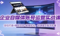 企业自媒体账号运营实战课：定位打造+ 爆款内容+数据优化，快速提升账号权