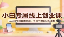 小白专属线上创业课：从0起号到直播变现，手把手教你轻松盈利