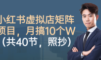 小红书虚拟店矩阵项目，月搞10W（共40节，照抄照做）