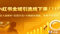 小红书全域引流线下课（11月）：行业大盘解析+实操方法+大咖成长经验，全程